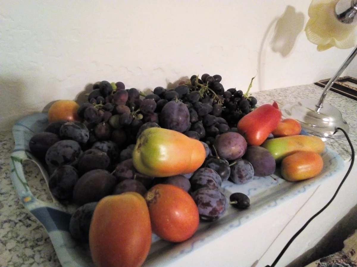 Die Nachbarn, Tanten und Onkel haben gehört, dass Celeste gern Obst und Tomaten isst...