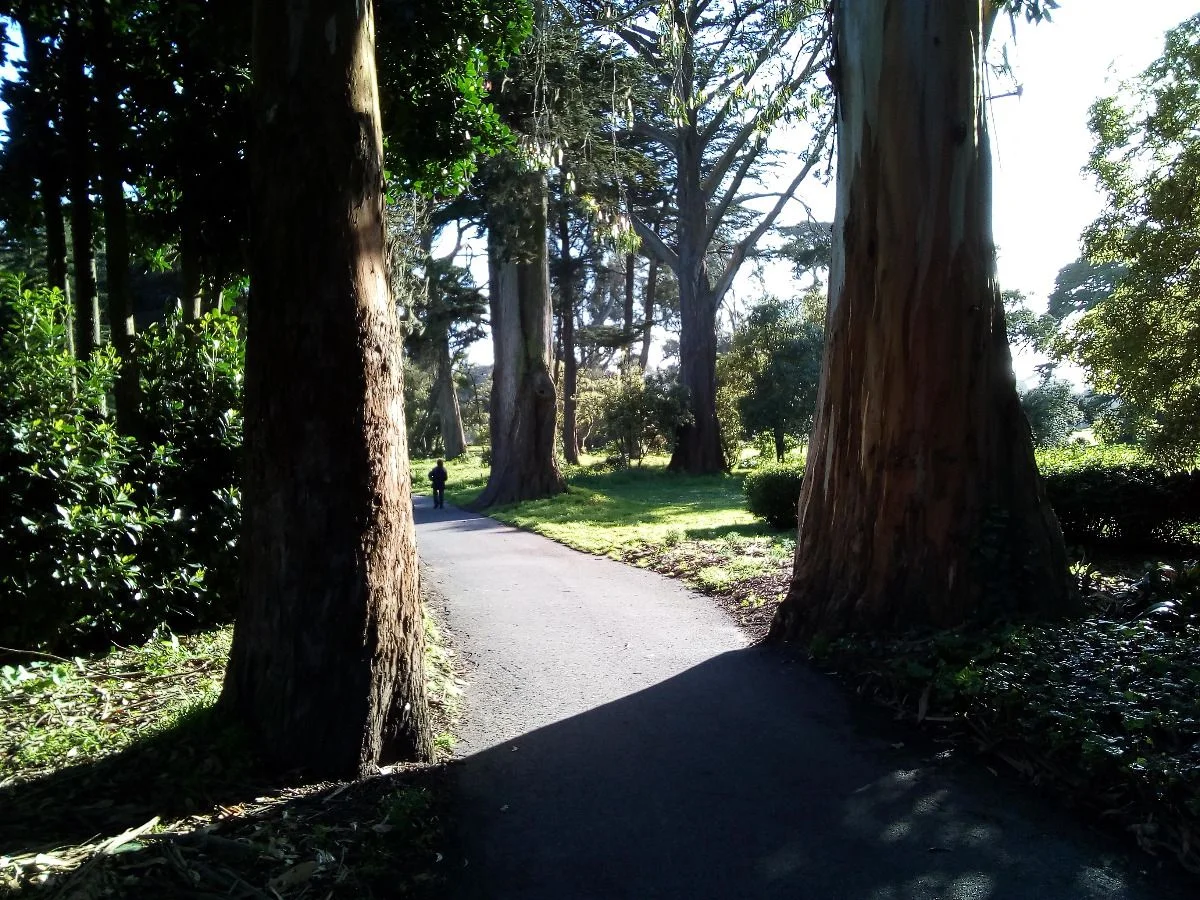 Golden Gate Park #usa2017