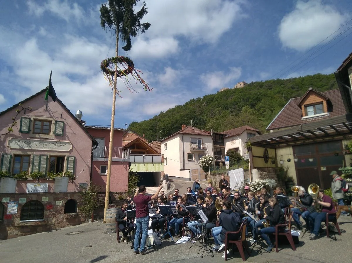 Minimaibaum #hambach #andergassenfest