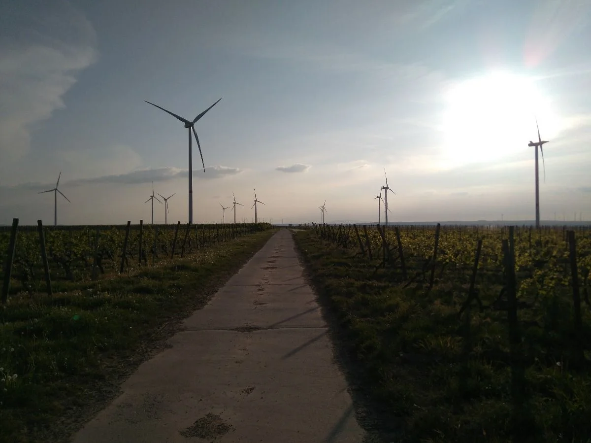 Jetzt hat es doch noch geklappt #rennrad
