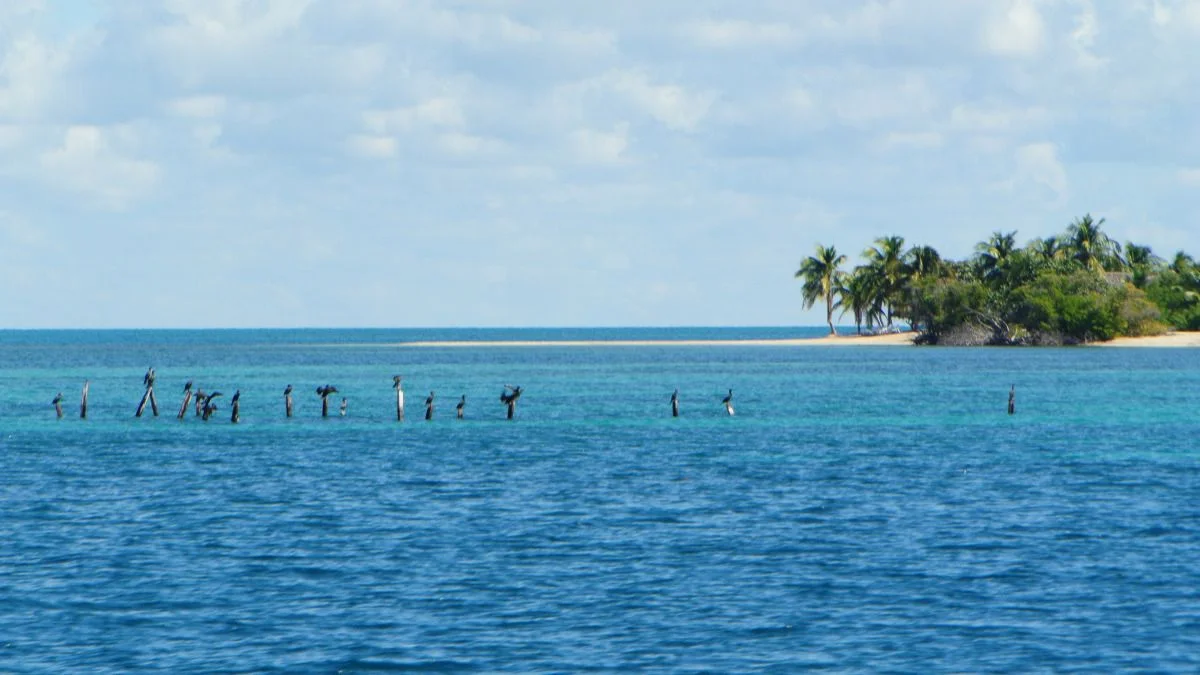 Cayos Machos de Fuera #cuba2018