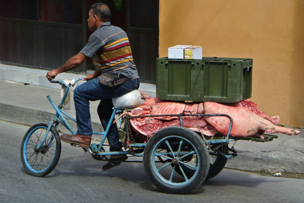 Schwein gehabt? #cuba2018