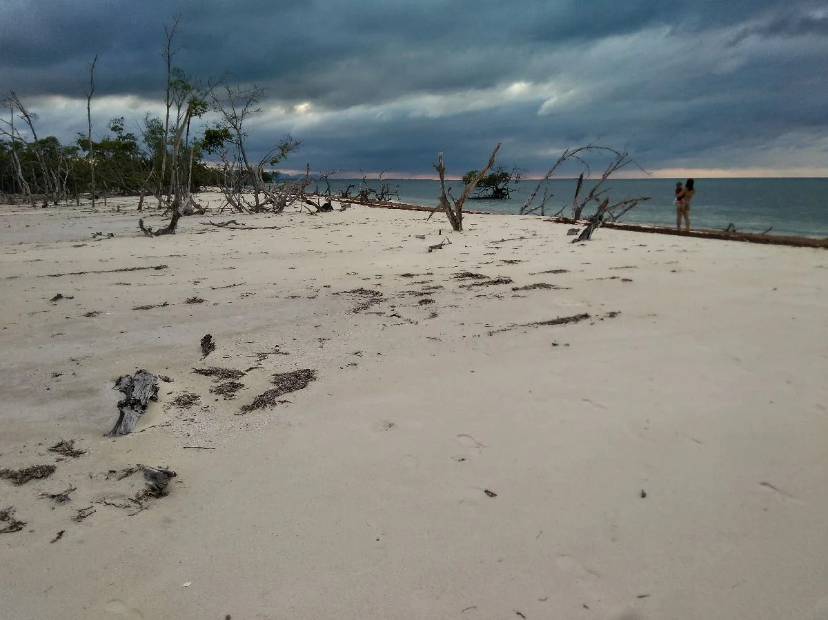 Wilde Strände auf Cayo Levisa #cuba2018