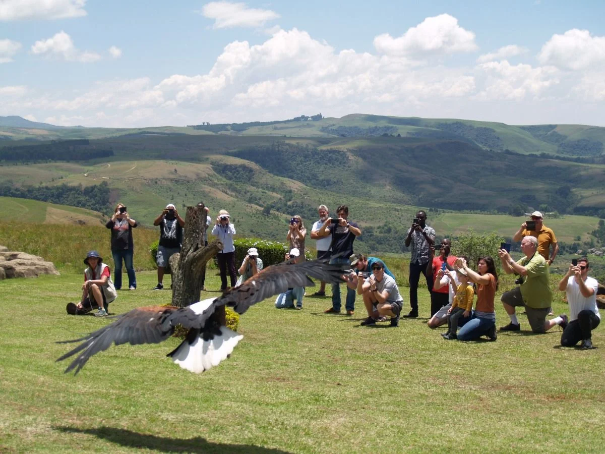 Vogelshow #suedafrika