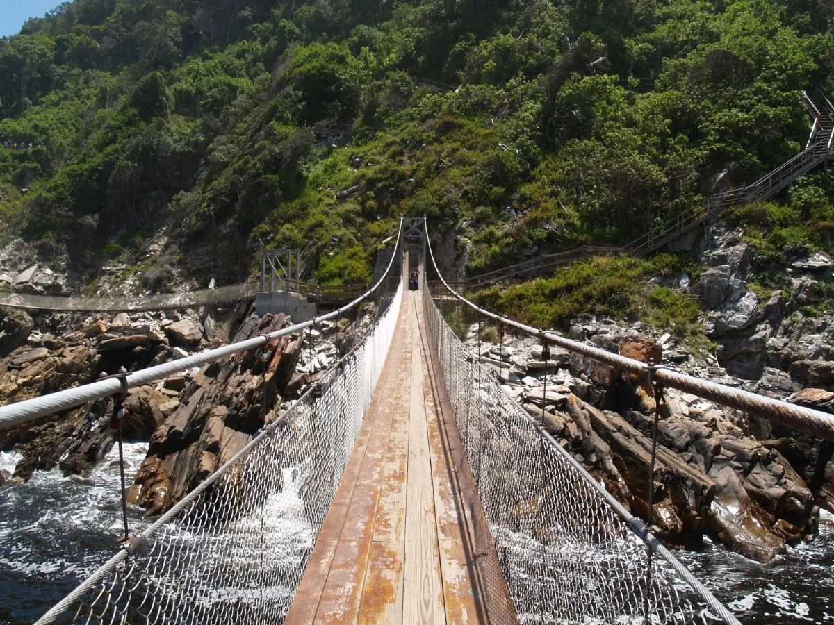 Seilbrücke im Tsitsikama National Park #suedafrika