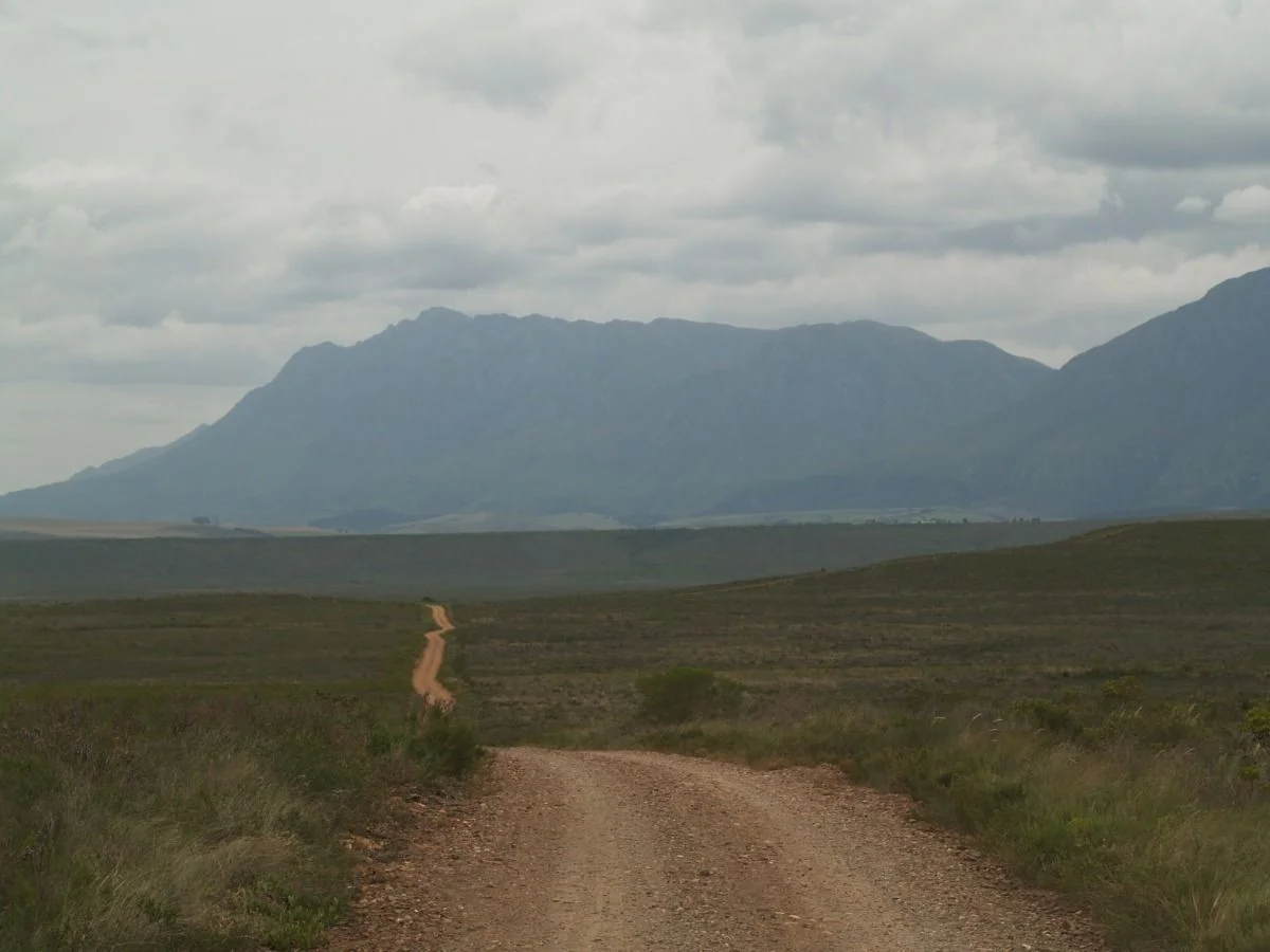 Im Bontebok Nationalpark #suedafrika