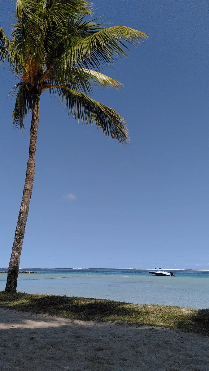 Gleichzeitig liegt man am Strand. Einfach fantastisch...