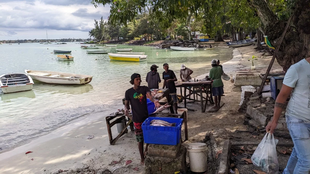 Hier werden die Fische ausgenommen, entschuppt und portioniert.